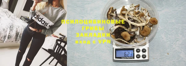 дживик Карталы
