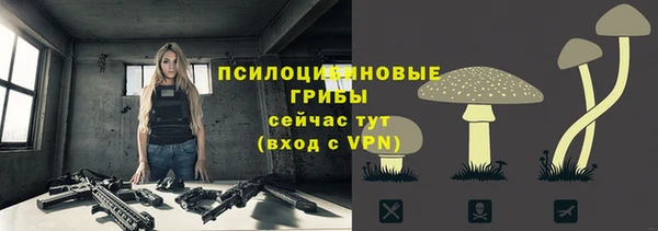а пвп мука Касимов