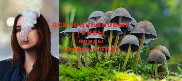 дживик Карталы